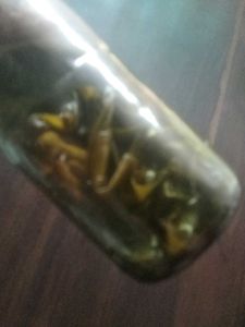 Swethakutaja leafe extract oil