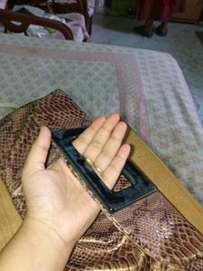 Snake Print Clutch