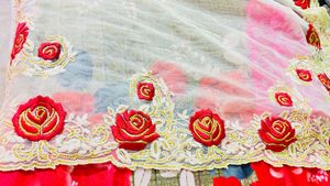 Party Wear Net Saree