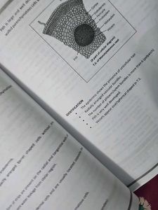 Allen Experimental Physics, Chemistry  Biolog