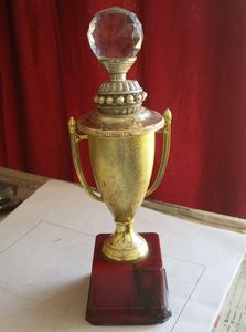 Sports Trophy