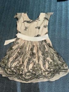 Elegant Embroidered Party Dress