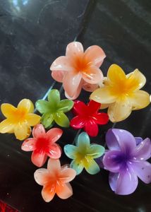 Flower Claw Clips
