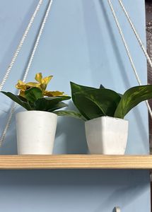 Wooden Macrame Hanging Shelf With Ikea Plants