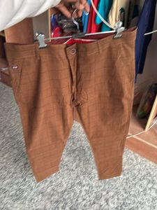 Formal Pant Brown