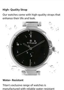 Titan Silver-Tone Watch