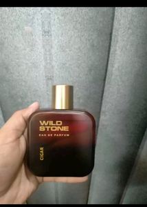 Wild Stone Perfume
