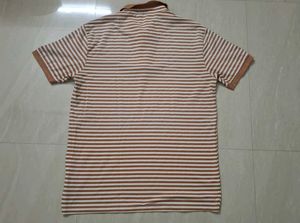 (Size~XL)Brown and white striped polo t-shirt🍋‍🟩