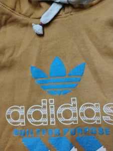 Sweetshirt