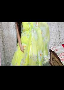 Organza Anarkali Suit