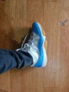 Jordan 11 Low