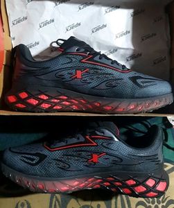 Sparx Sport Shoes Brand New