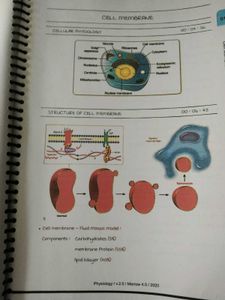 Physiology Notes - M4