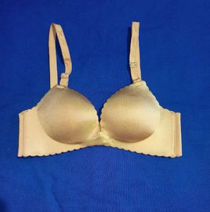 Seamless Lite Pushup Bra