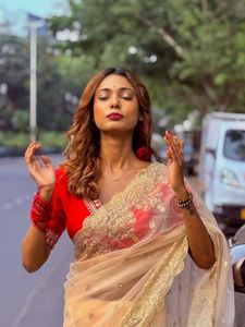 Elegant Embroidered Saree