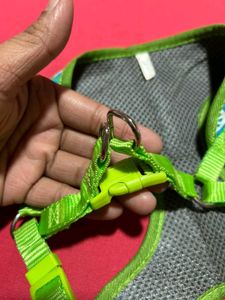 Dog Harness with Leash