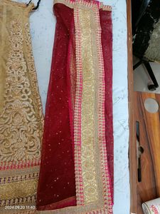 Golden Pink Red Lehenga