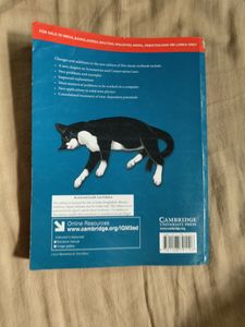 Introduction To Quantum Mechanics By DJ Griffiths. 3rd Edition In Like New Condition