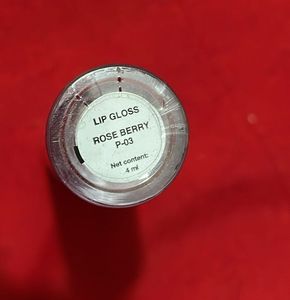 Zudio Hi Shine LipGloss
