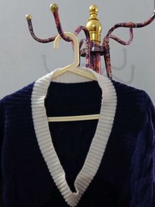 Navy V-Neck Sweater