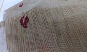 Elegant Saree
