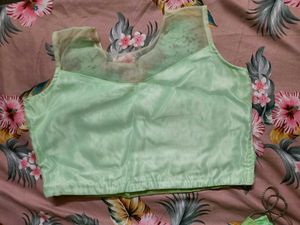 Mint Green Embroidered Lehenga choli
