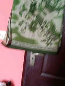 Green Floral Butterfly Print  Saree