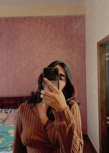 Simplicity Pullover Brown Crop Top