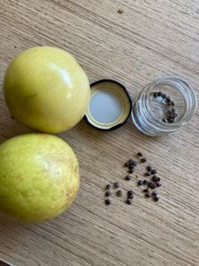 Exotic Passion Fruit Seeds