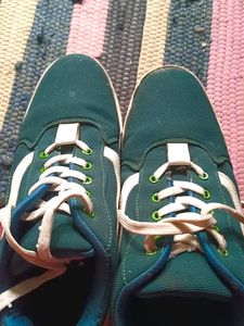 Mens Green Colour Casual Shoes