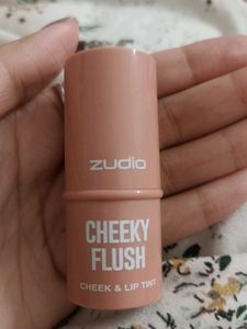 Zudio Check And Lip Tint