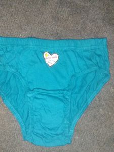 new  Briefs