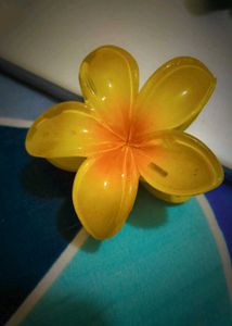 Colorful Flower Hair Clips Set Of 2