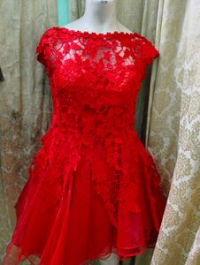 Red Lace Mini Dress