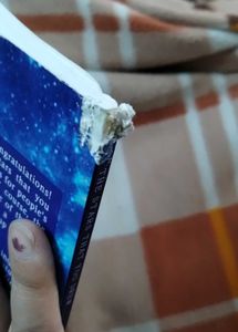 The Stars That You Drew