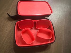 Signoraware Lunch Box with Containers