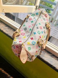 Louis Vuitton Rainbow Speedy bag