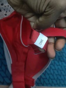 Amante Branded Padded Bra