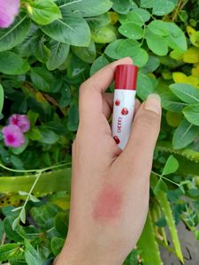 Combo Of 2 Pigmented Lipbalms