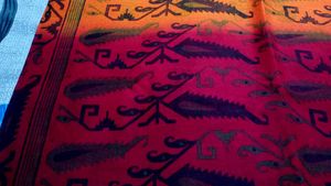 Handloom Sambalpuri Cotton Saree