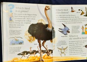 Why I Wonder Childern Book Series