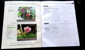 Adobe Flash And Action Script Books.