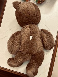 Brown Teddy Bear