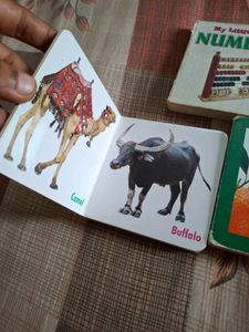 Set Of 3 Board Books