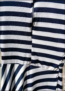 Zebra Dress