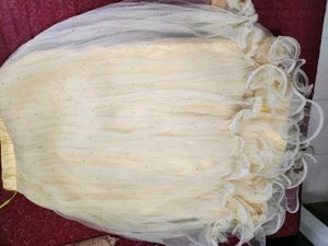 Elegant Ethnic Gown