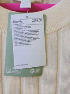 H&amp;M Chic Winter Dress