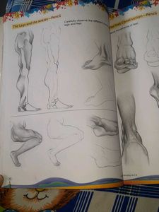 Drawing Book