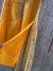 Cotton Organza Double Layer Dress