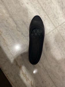 Black Belly With Small Heel